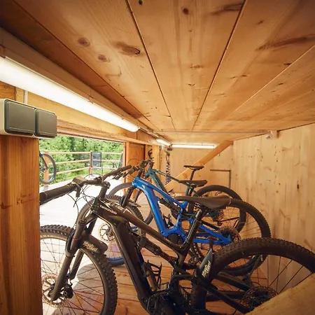 Chalet Tannenbaum Saalbach-Hinterglemm