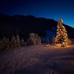 בקתה Tannenbaum זאלבך הינטרגלם