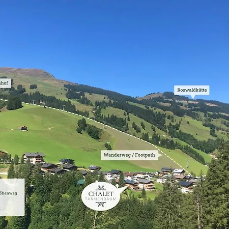 Tannenbaum * Saalbach-Hinterglemm