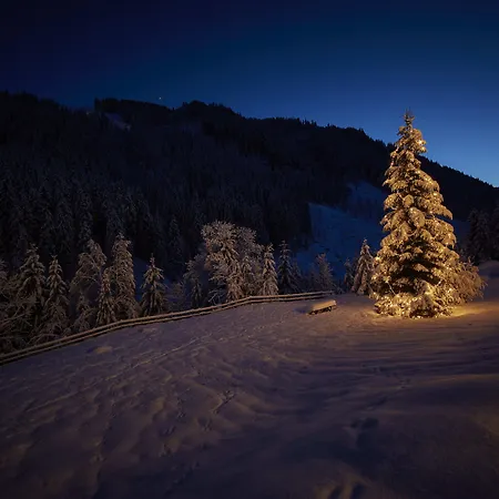 Tannenbaum Chalet Saalbach-Hinterglemm