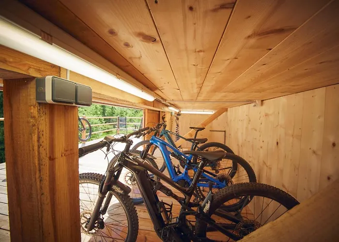 Chalet Tannenbaum Saalbach-Hinterglemm